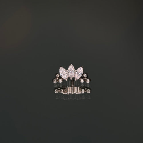 mini bolas de maquise