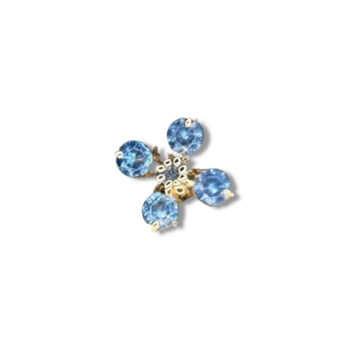 Flor cuádruple del sol Azul