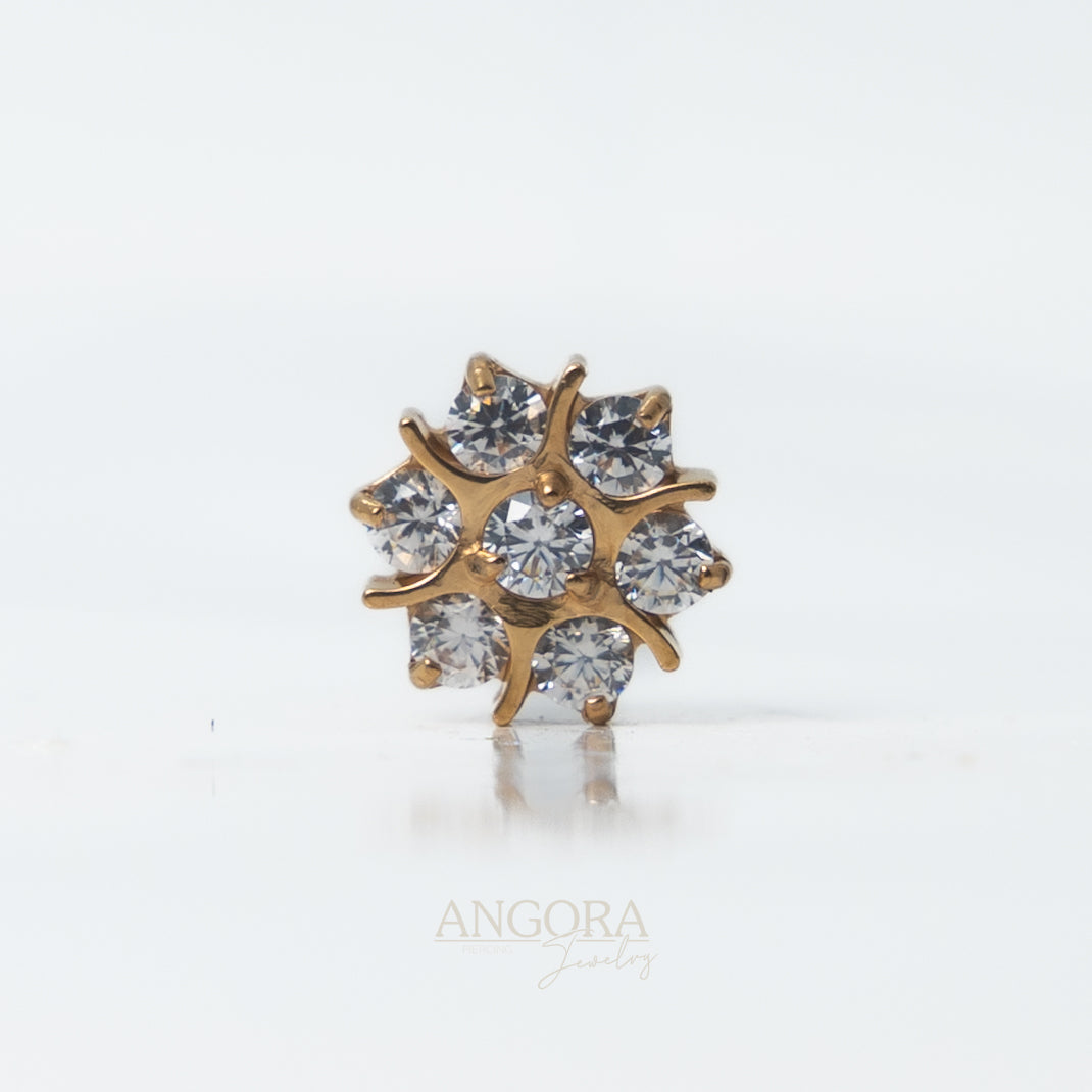 Flower of Light luxury deluxe