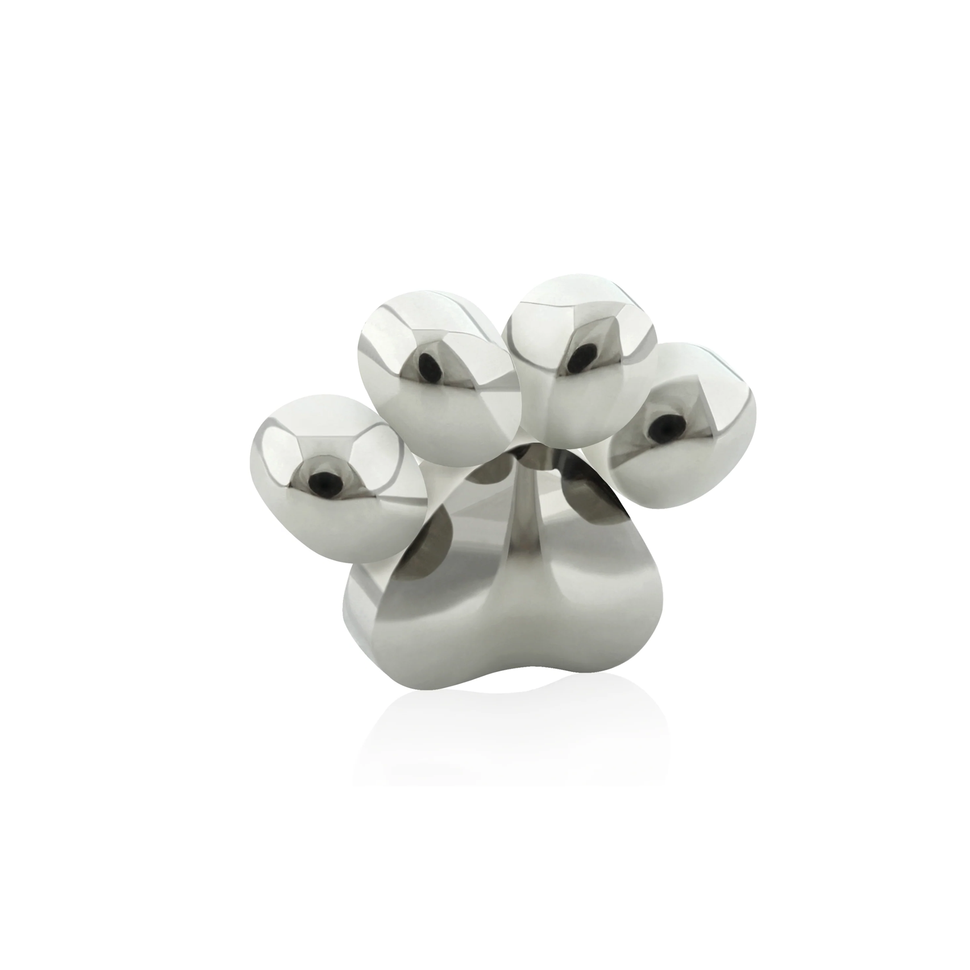 Disco de pata de perro