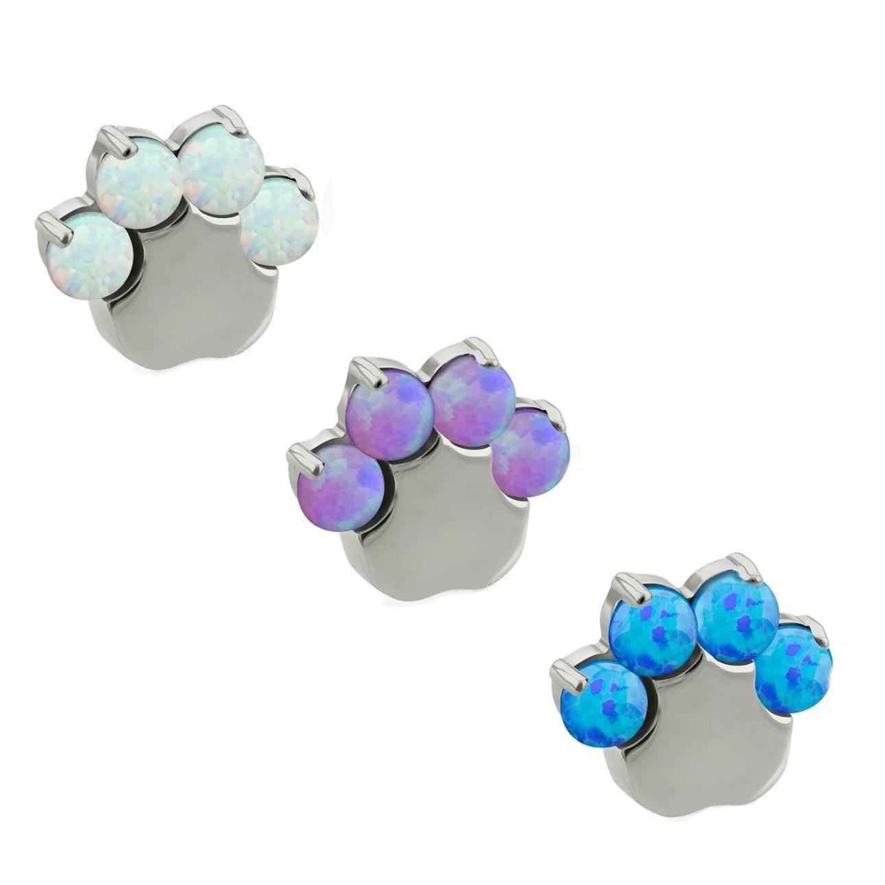 Disco de ópalo de pata de perro