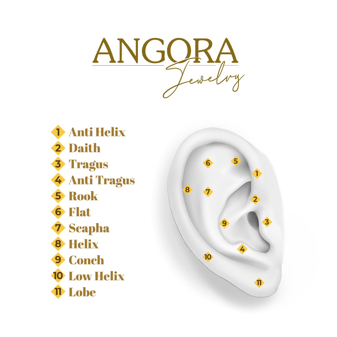 Perforation Location